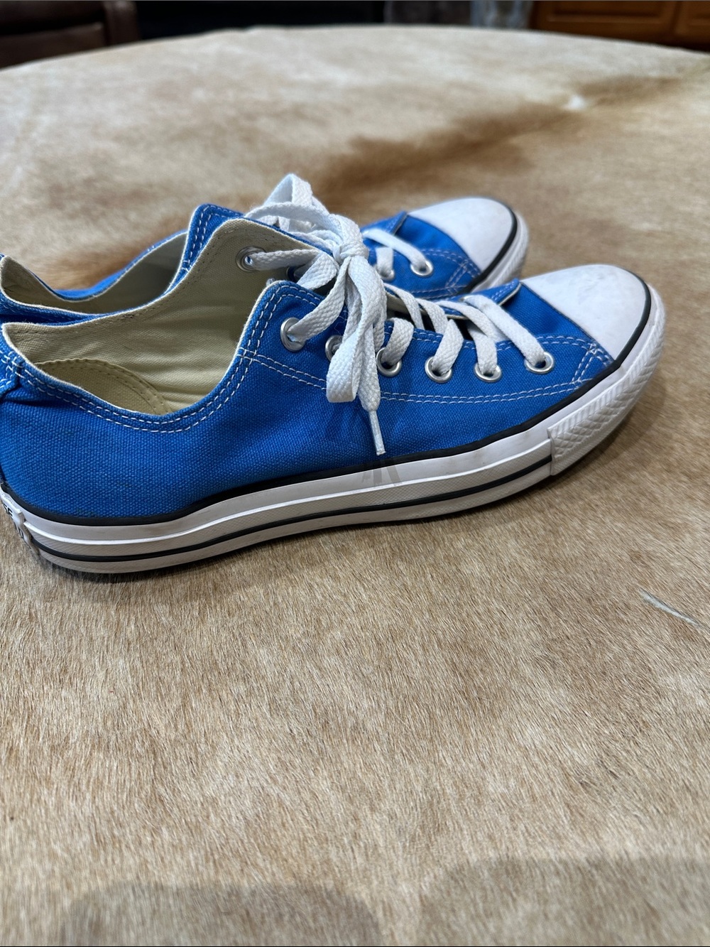 Converse Blue Canvas Low-Top Sneakers with White Accents - Picture 4 of 6